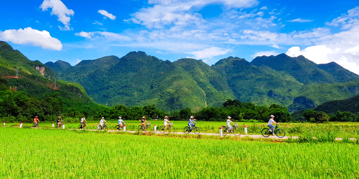 Du khách trải nghiệm hoạt động
