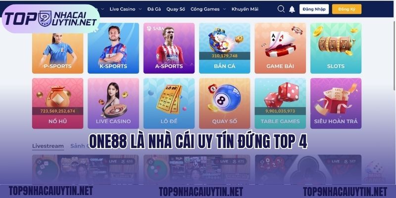 Trang web luôn cập nhật tin tức cá cược mới nhất