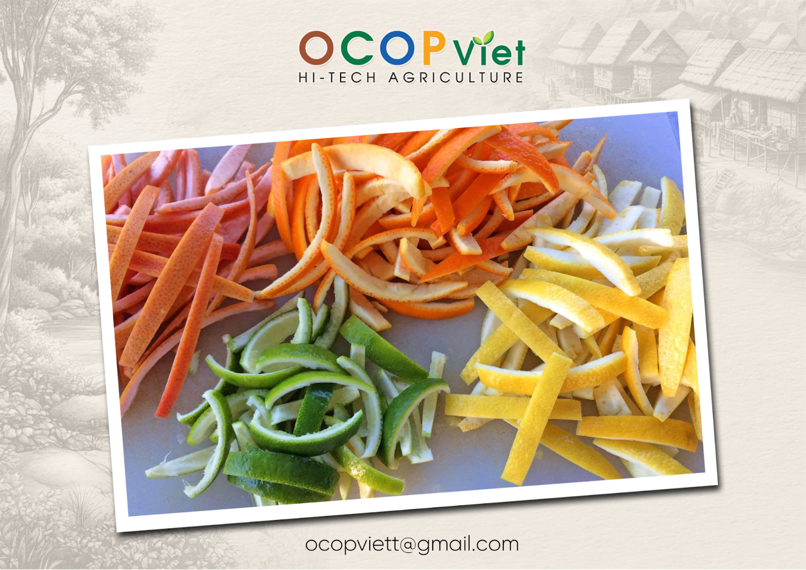 vỏ trái cây