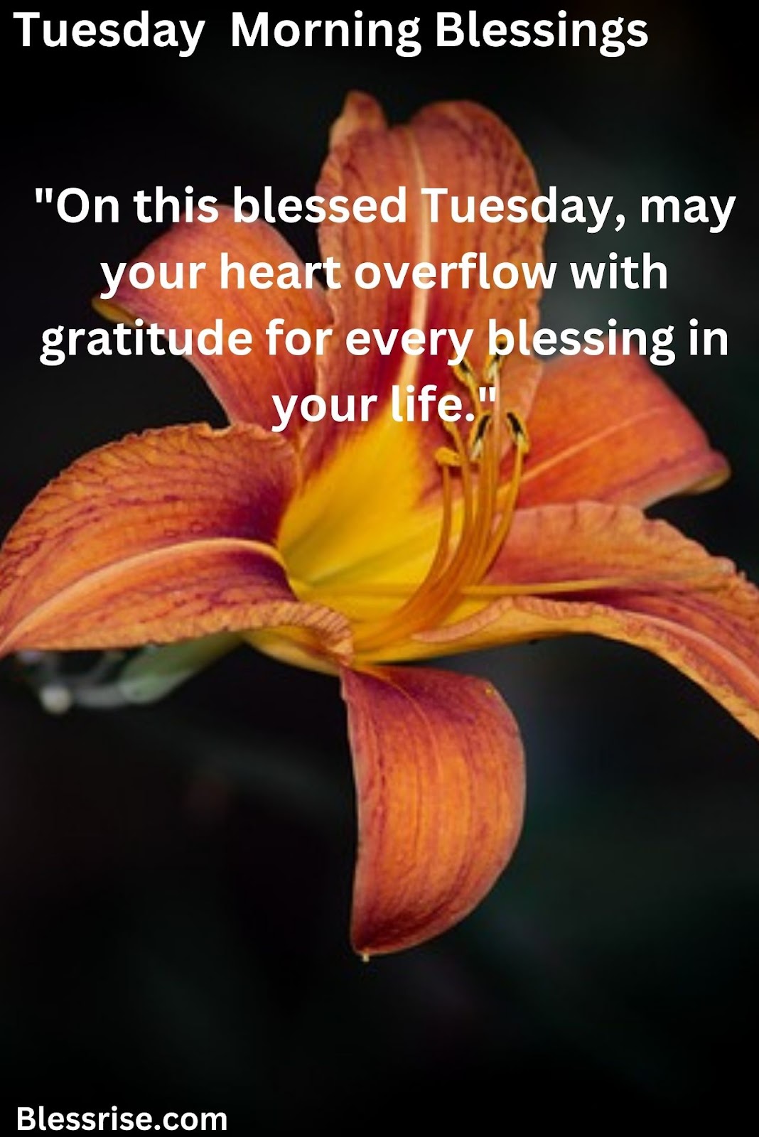 Tuesday morning blessings