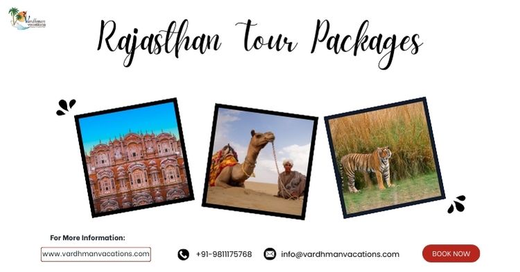 Rajasthan Tour Packages 