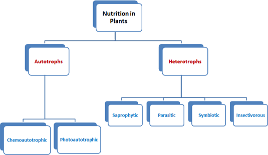 Diagram

Description automatically generated