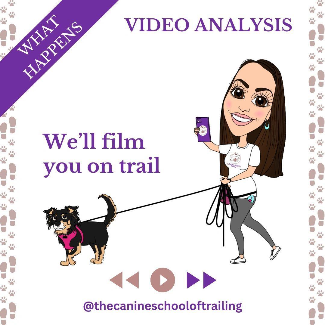 image shows a cartoon Rachel Rodgers Clinical Animal Behaviourist videoing a dog pettrailing