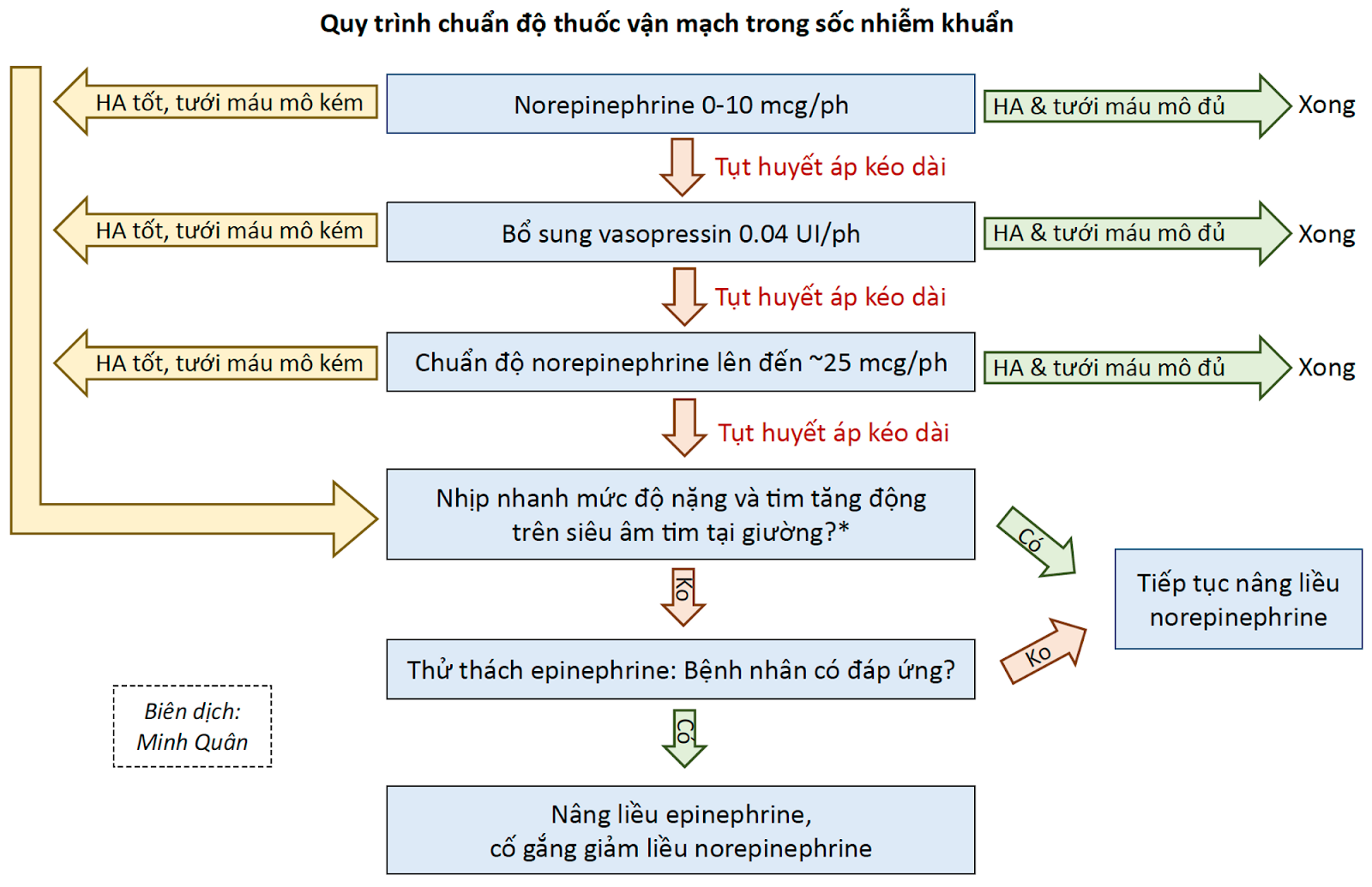 *Nếu siêu âm tim không có sẵn, hoặc cửa sổ siêu âm kém hoặc dấu hiệu không rõ ràng, có thể chọn câu trả lời là “Không”. Có thể thực hiện quy trình này mà không cần siêu âm tim.