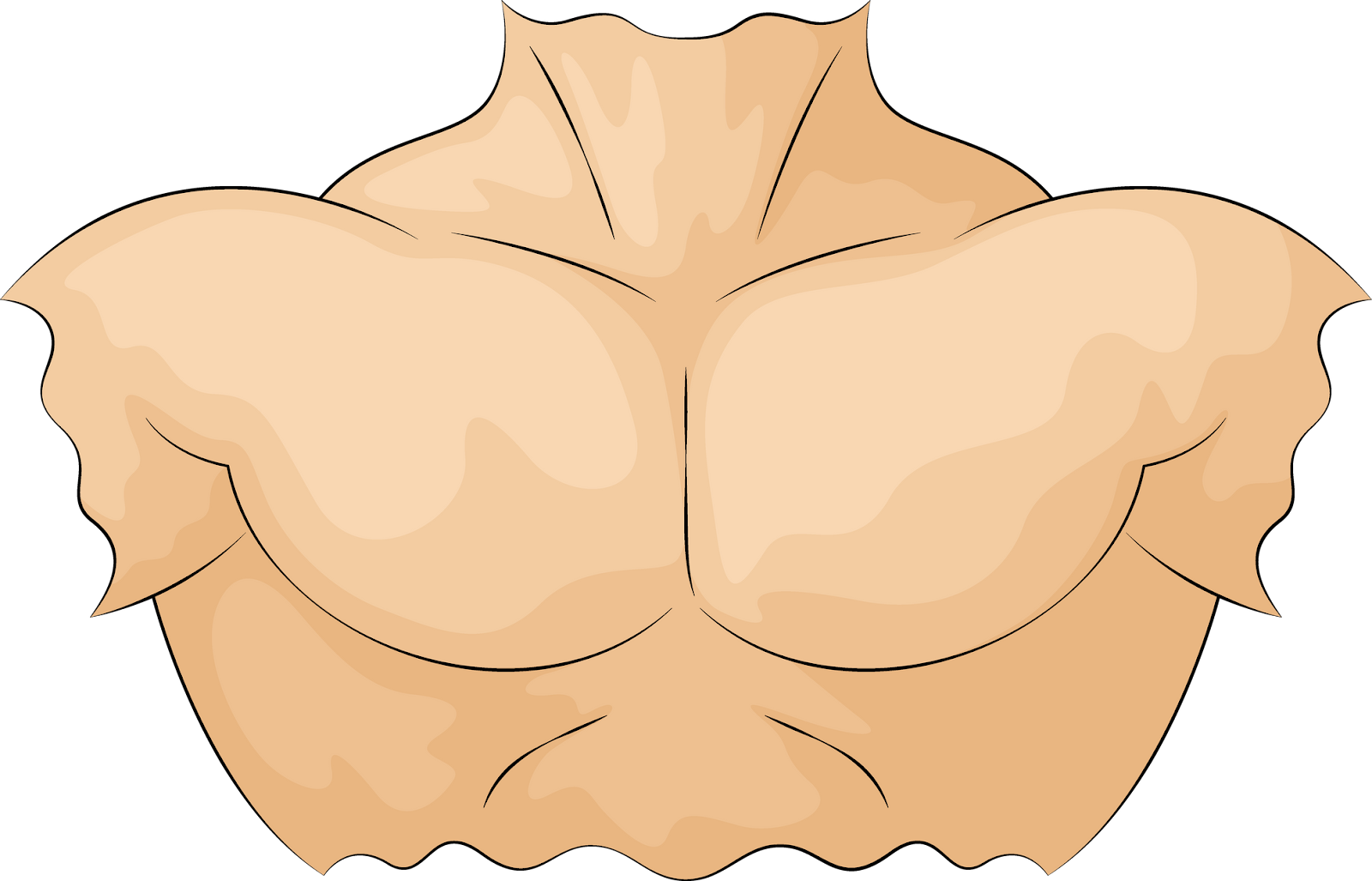 7baef1f3229f7b1675d441ed623dd3b9.png