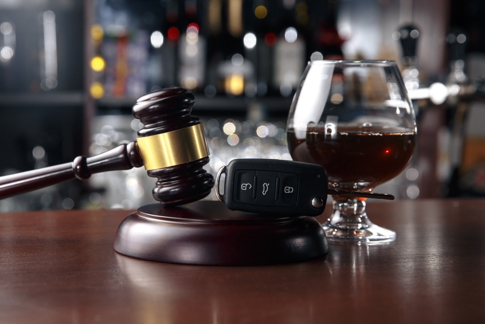 Defenders of Justice: How Lawyers Help Clients Win Legal Fights