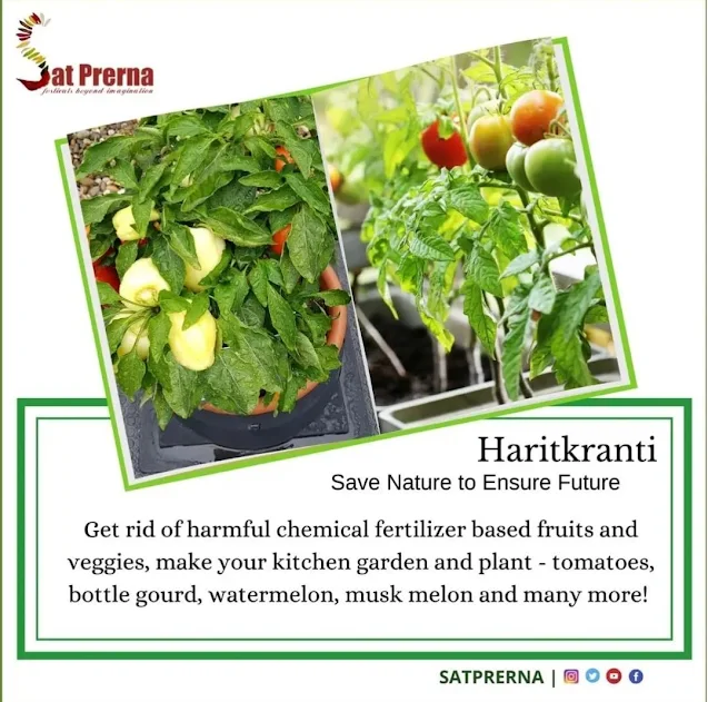 Prernamurti | World Environment Day 2025