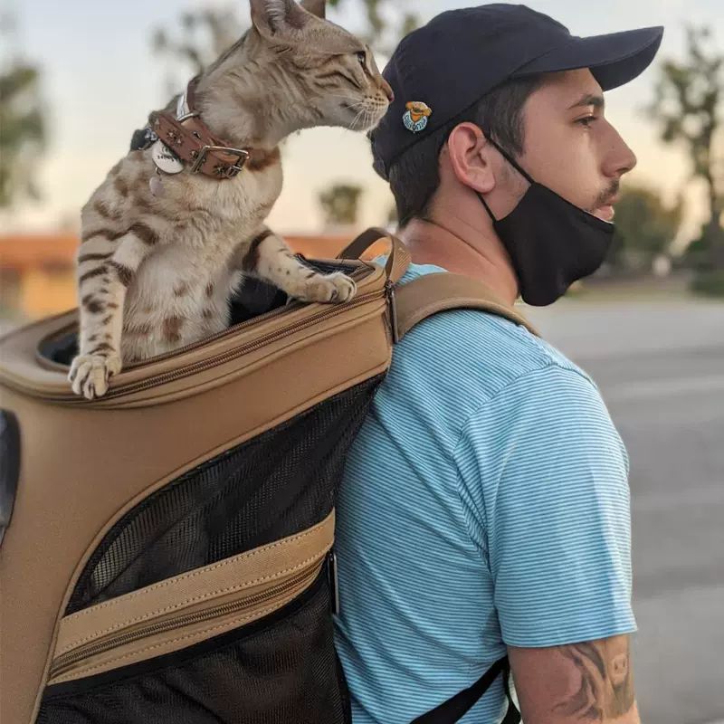 Cat & Dog Backpack with cat