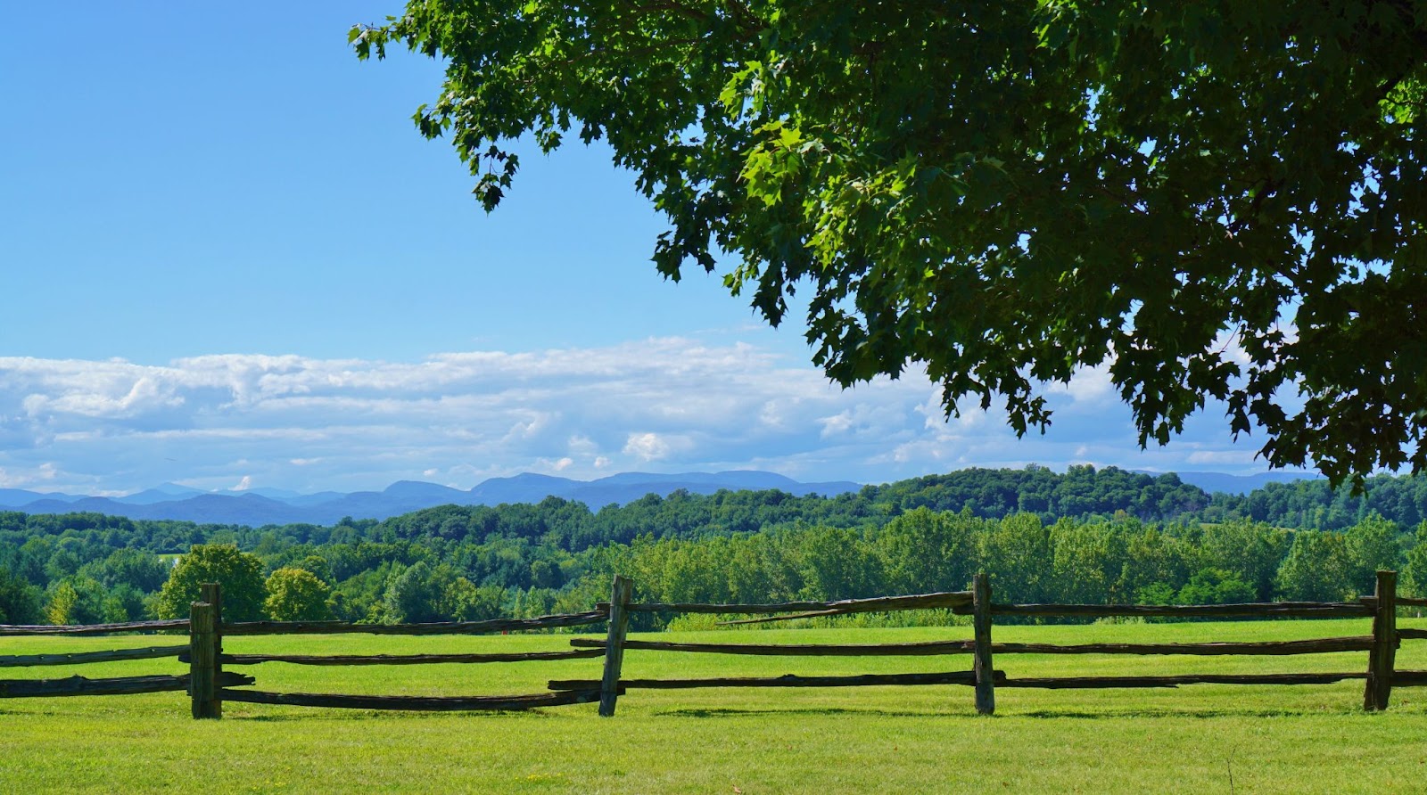 New England​ destination wedding