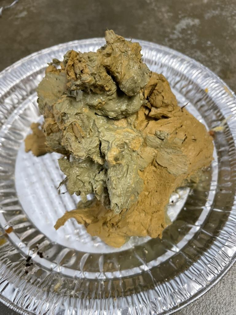 A piece of brown material on a plate

AI-generated content may be incorrect.