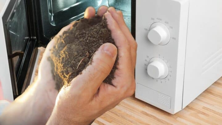 Sterilize Soil In An Oven