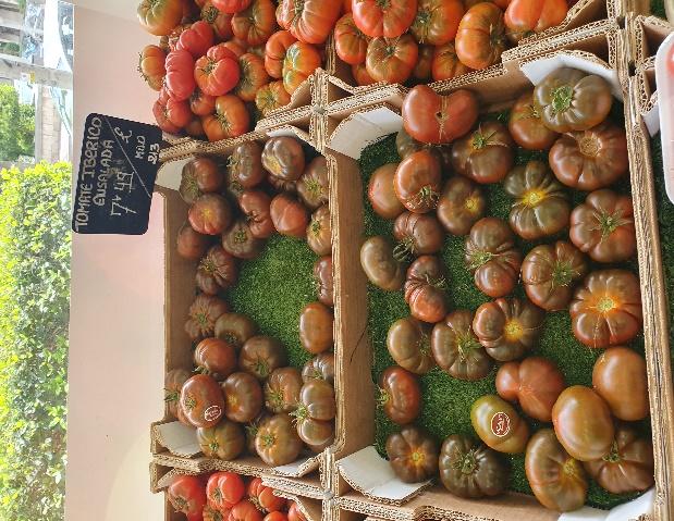 C:\Users\Agustin\Downloads\tomate ibérico  20250421_.jpg