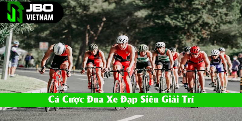 Vào tiền cá cược đua xe đạp siêu giải trí
