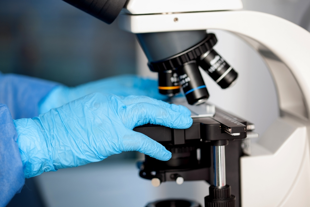 gloved-hands-adjusting-slide-on-compound-microscope-in-laboratory-setting-real-biohackers-use-this-chonluten-protocol-heres-why-you-should-too-tony-huge