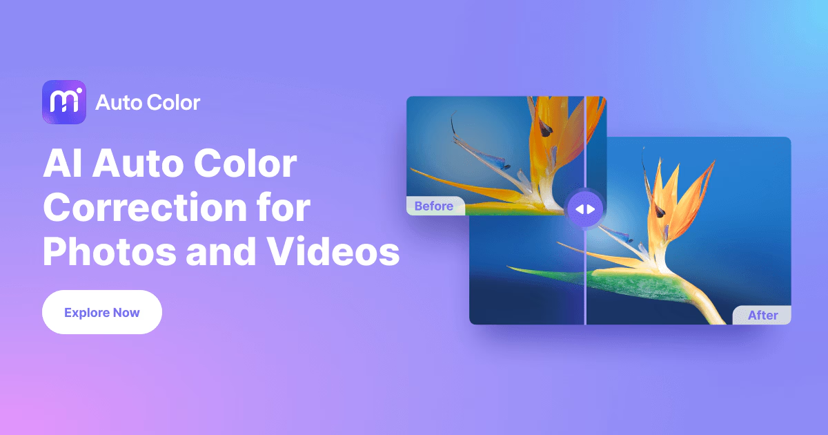 Media.io Auto Color – Color Correction Online for Videos and Photos