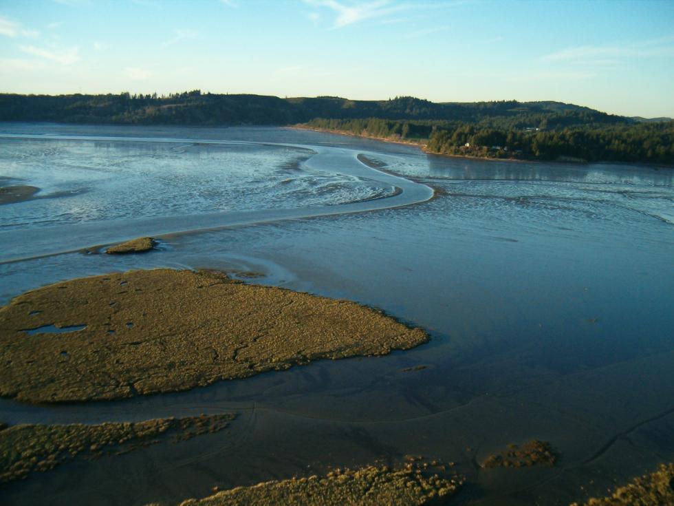 A low angle view of a river

AI-generated content may be incorrect.