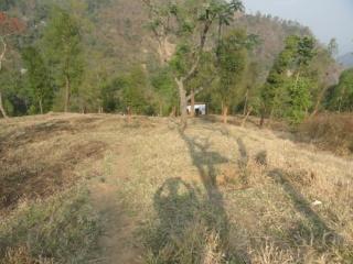 C:\Users\dr hmar.LPM\Desktop\Infrastructure LFP\Fodder Farm photos\fodder dry season\DSC01845.JPG