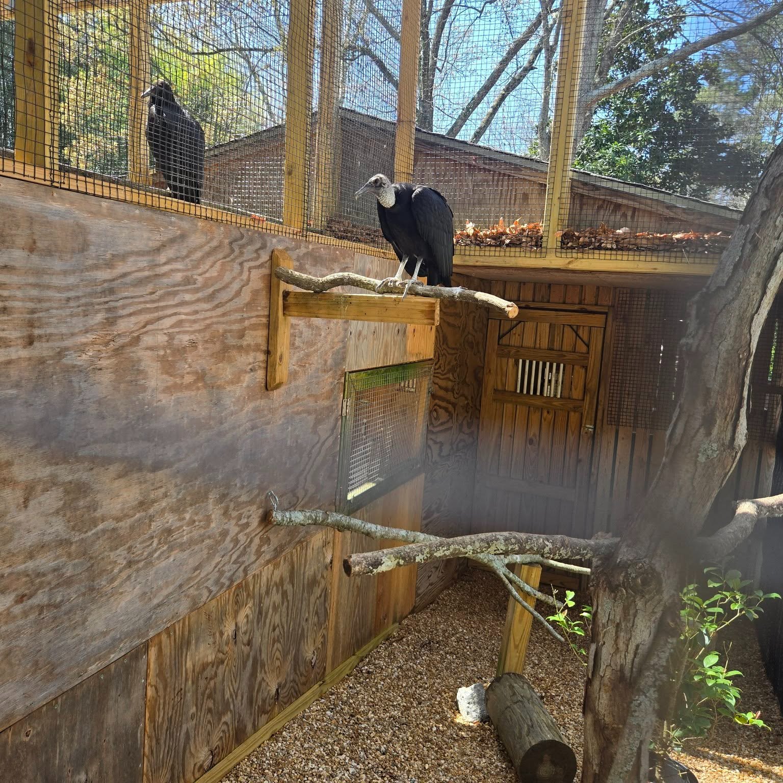 Zoo Atlanta