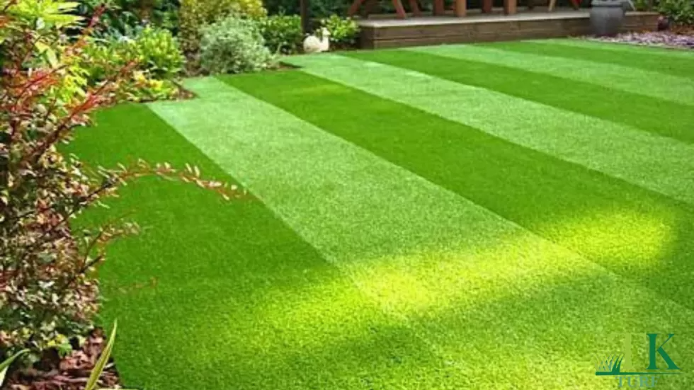 Save Water with Artificial Grass
