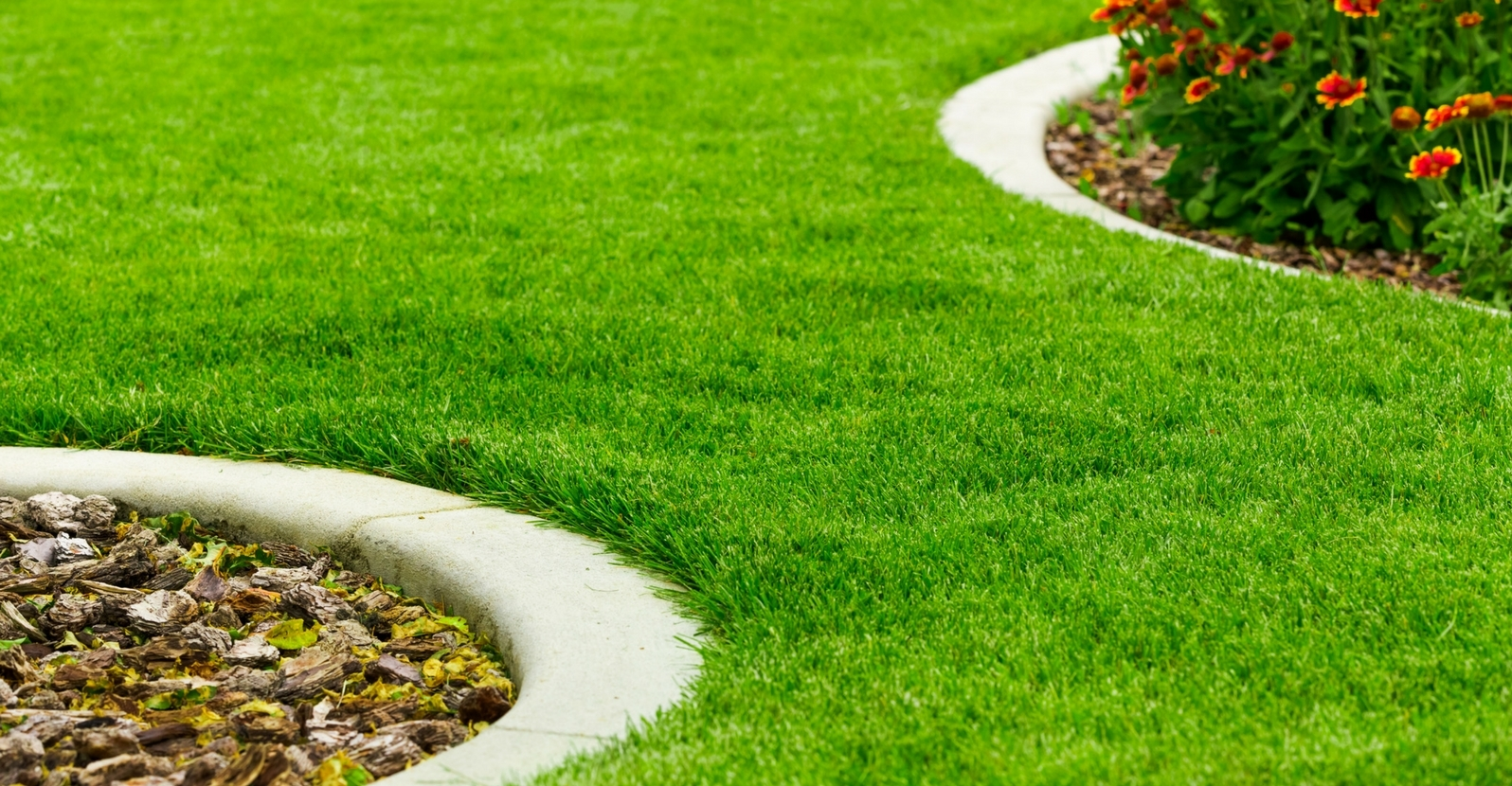 Thick and Green Lawn