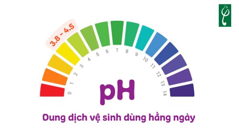 Dung dịch vệ sinh phụ nữ chiết xuất nguyên liệu an toàn, cân bằng pH