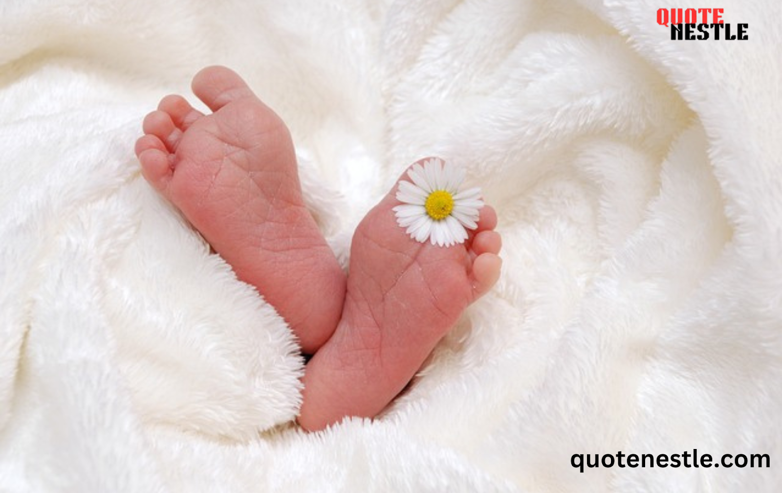 Famous Quotes on Birth