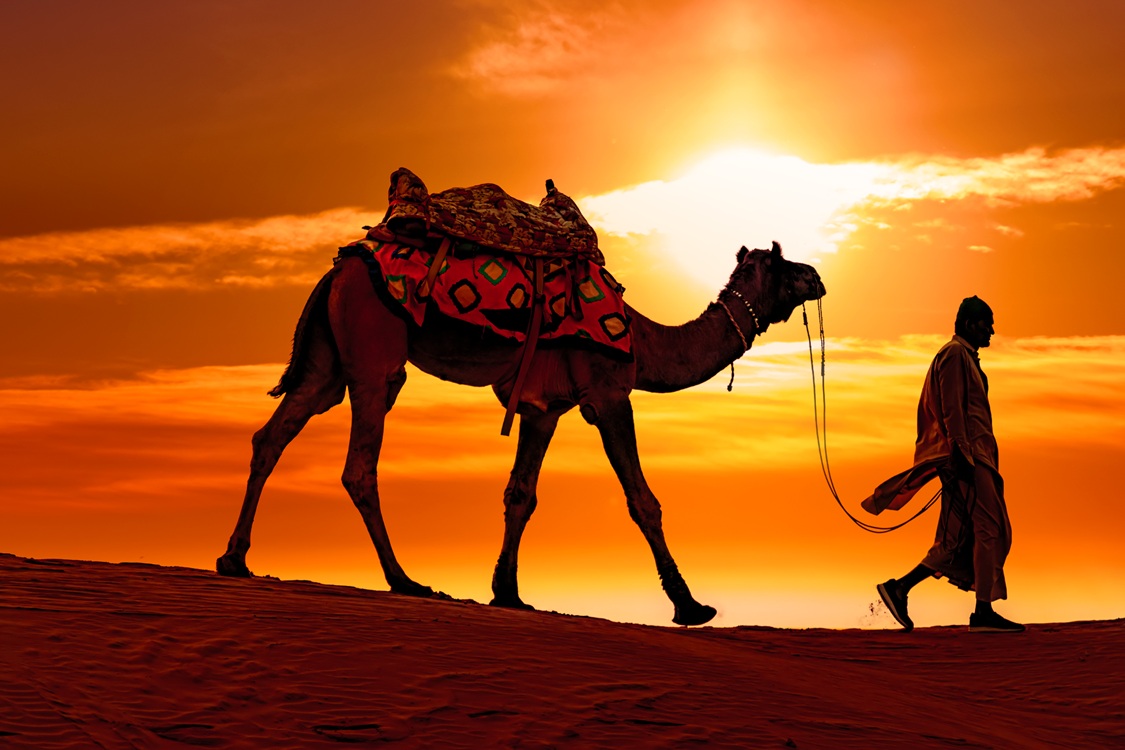 Camel Ride Jaipur