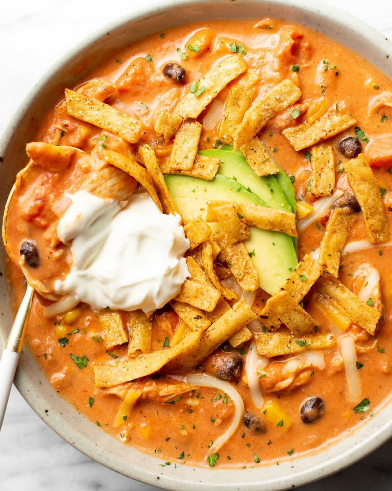 Creamy Chicken Tortilla Soup Recipe 