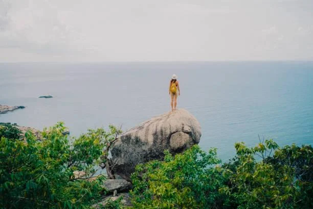25 Ocean Views Capturing the Wild Spirit, ocean view, wild nature, nature, forest, landscape, rugged coast, dynamic sea