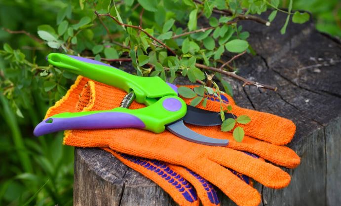 Garden gloves with a pruner for working in the garden