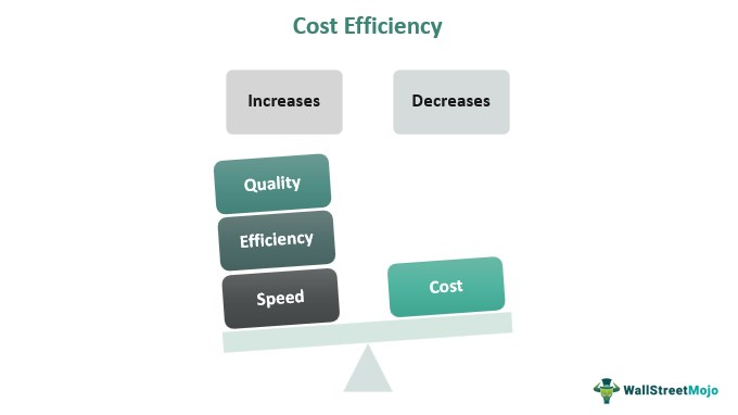 Cost Efficiency