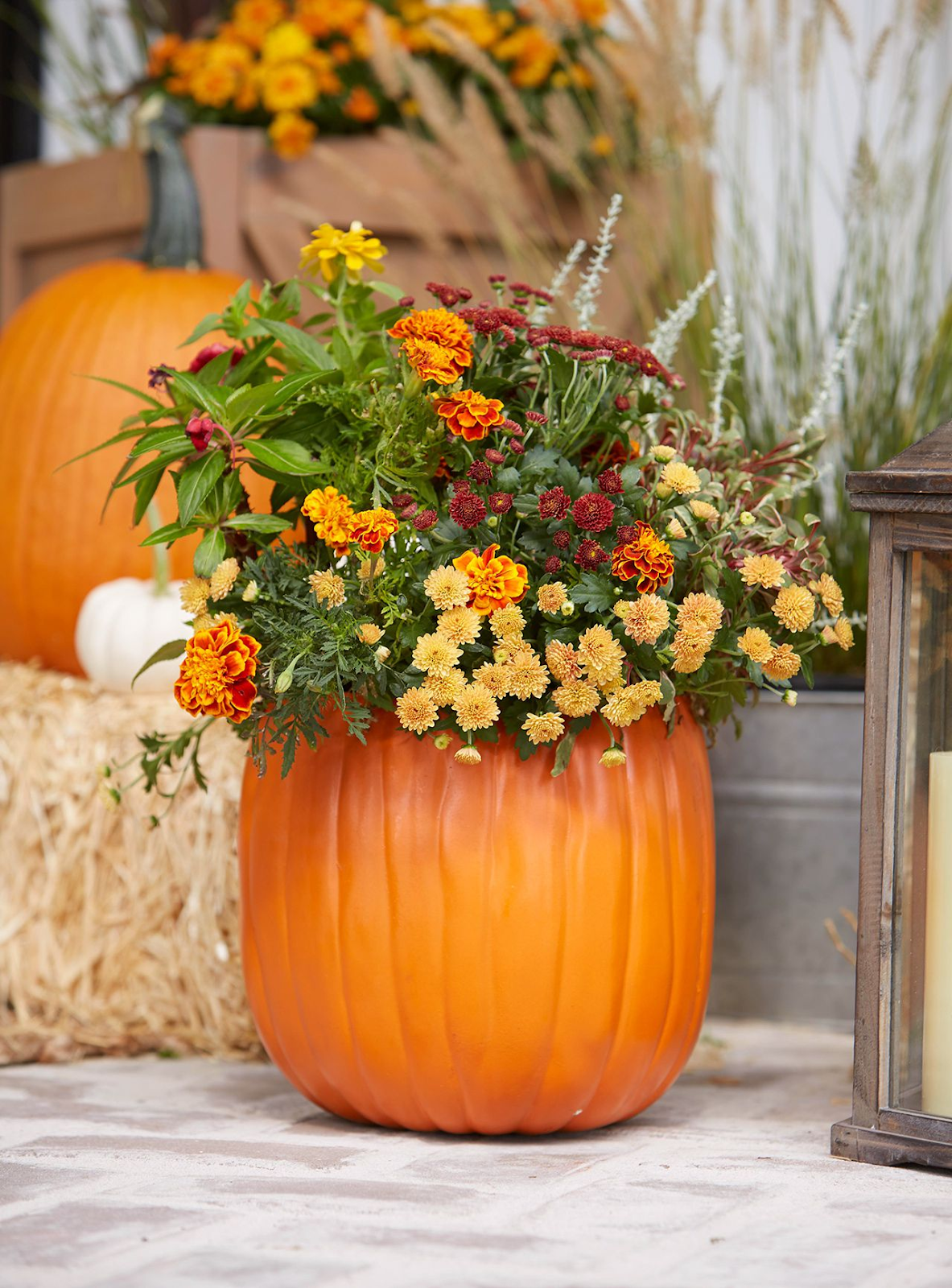 Decorate with Mums and Other Fall Flowers