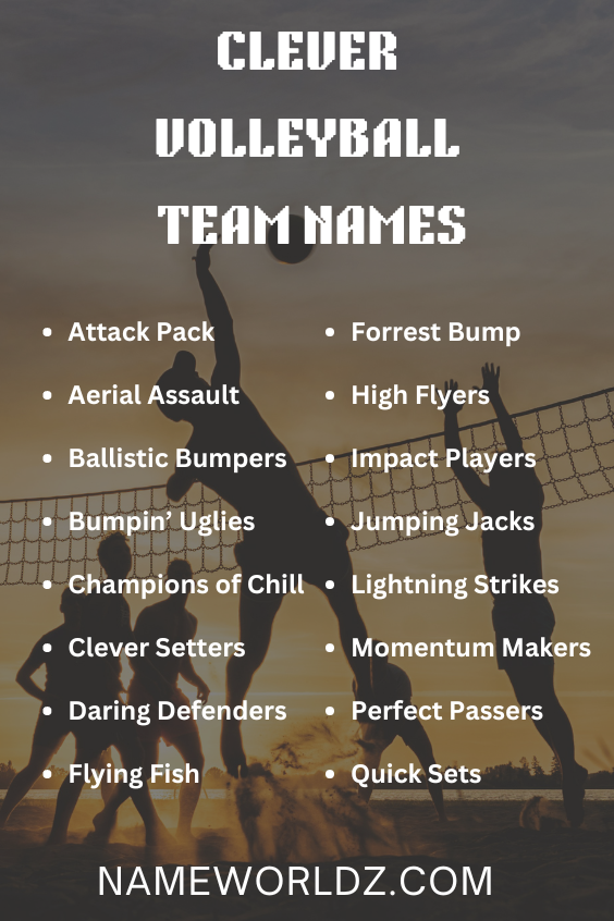 Clever Volleyball Team Names