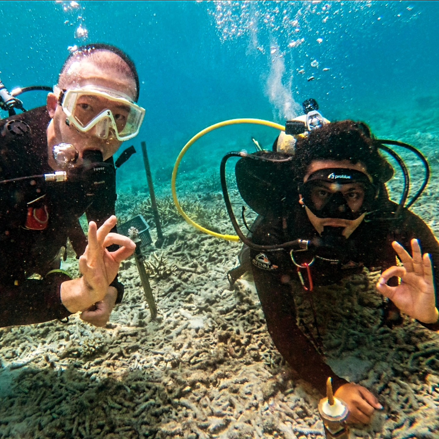 Aquaria KLCC