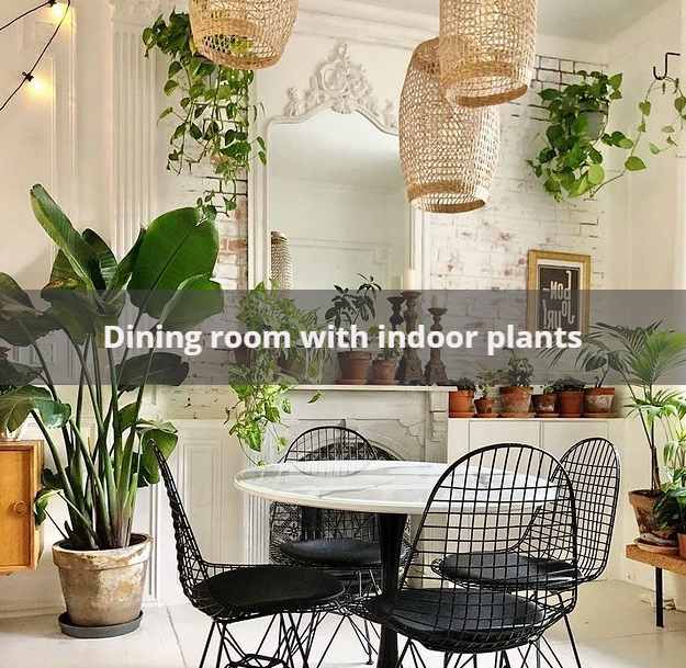 A dining room with natural green plants.