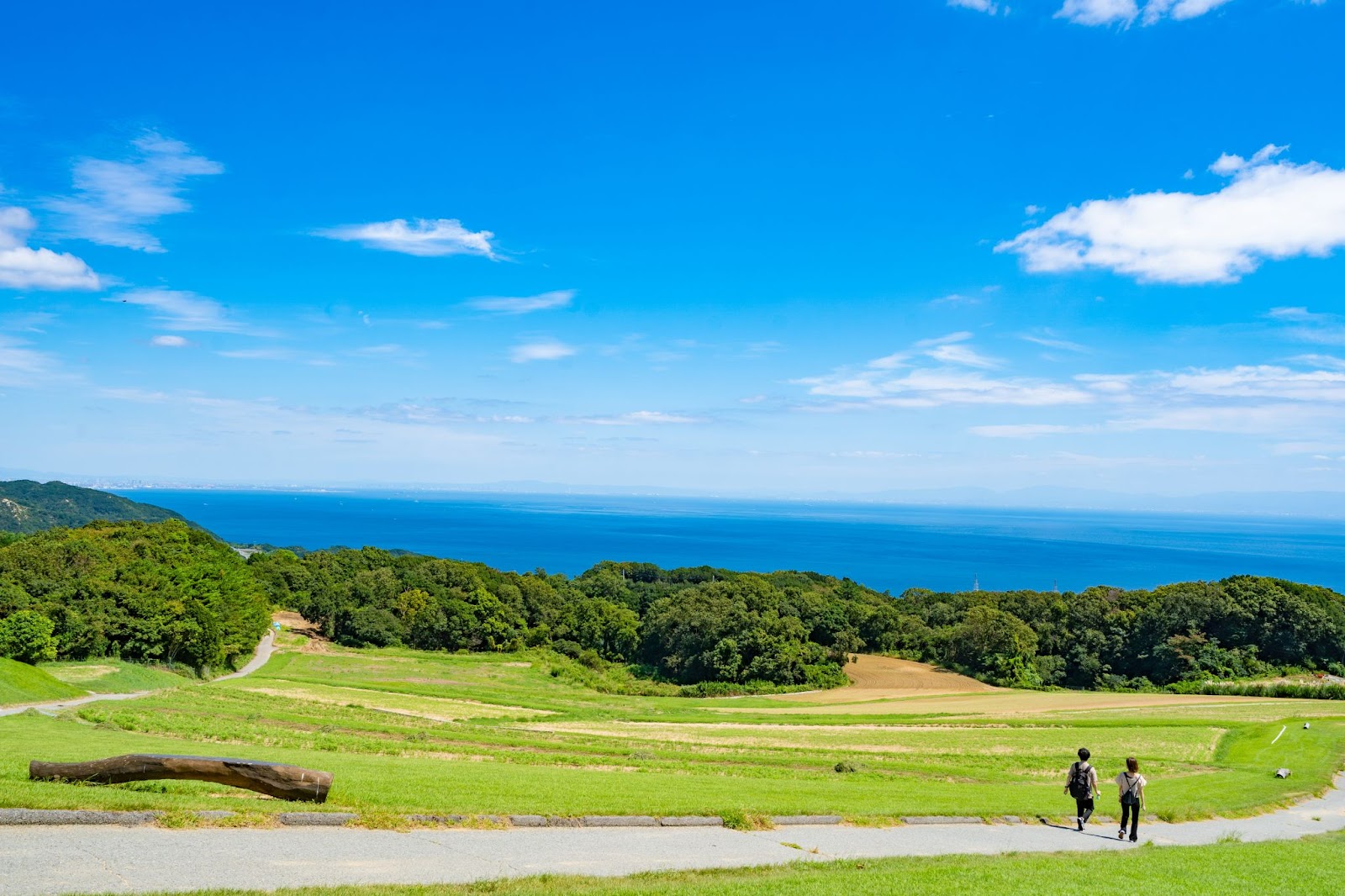 のどかな風景