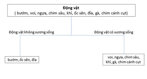 BÀI 31: ĐỘNG VẬT1. ĐA DẠNG ĐỘNG VẬTCâu 1: Quan sát hình 31.1 và chỉ ra điểm khác biệt giữa động vật không sương sống và động vật có sương sốngĐáp án chuẩn: Động vật không xương sống không có bộ xương trong, chưa hình thành xương cột sống động vật có xương sống thì có.Câu 2: Em hãy kể tên một số đại diện thuộc nhóm động vật không sương sống và động vật có xương sốngĐáp án chuẩn: - Không xương sống: sứa, san hô, giun, cua, tôm, ốc sên, gián, nhện,...- Có xương sống: cá, rắn, rùa, chim, gà, chó, mèo, khỉ, hươu,...Câu 3: Quan sát hình 31.2, em hãy kể tên các nhóm động vật không xương sống và xác định đặc điểm mỗi nhómĐáp án chuẩn: - Ruột khoang: cơ thể hình trụ, nhiều tua miệng, đối xứng tỏa tròn, sống ở môi trường nước.- Giun: hình dạng cơ thể đa dạng, đối xứng hai bên, đã phân biệt đầu đuôi - lưng bụng, thường sống trong đất ẩm, môi trường nước hoặc trong cơ thể sinh vật- Thân mềm: cơ thể mềm, không phân đốt thường có vỏ đá vôi bao bọc, xuất hiện điểm mắt.- Chân khớp: cấu tạo cơ thể chia làm 3 phần; cơ thể phân đốt, đối xứng hai bên, bộ xương ngoài bằng chitin để nâng đỡ và bảo vệ cơ thể, các đôi chân khớp động.Câu 4: Để phân biệt các nhóm động vật không xương sống, em có thể dựa vào đặc điểm nào?Đáp án chuẩn: Dựa vào đặc điểm hình dạng cơ thể.Câu 5: Xác định môi trường sống của các nhóm động vật không xương sống bằng cách hoàn thành bảng theo mẫu sau:Đáp án chuẩn: NhómMôi trường sốngRuột khoangMôi trường nướcGiunMôi trường đất ẩm, nước hoặc trong cơ thể sinh vật khácThân mềmĐa dạng: trong nước, nơi ẩm ướt, tren cạn,...Chân khớpĐa dạng: trong nước, trên cạn, trên cây cối,...Câu 6: Nhận xét về sự đa dạng của các nhóm động vật không xương sốngĐáp án chuẩn: Chúng đa dạng và phong phú cả về hình dạng, kích thước, môi trường sống,...Câu 7: Quan sát hình 31.3, em hãy kể tên các nhóm động vật có xương sống. Xác định đặc điểm mỗi nhómĐáp án chuẩn: - Cá: đời sống hoàn toàn ở nước, di chuyển bằng vây- Lưỡng cư: ở cạn, da trần và luôn ẩm ướt, chân có màng bơi, một số có đuôi hoặc thiếu chân hoặc không có đuôi- Bò sát: ở cạn, một số ở dưới nước, da khô và có vảy sừng- Chim: trên cạn, mình có lông vũ bao phủ, chi trước biến dổi thành cánh, có mỏ sừng- Thú: có bộ lông mao bao phủ, răng phân hóa thành răng cửa, răng nanh, răng hàm. Phần lớn đẻ con và nuôi con bằng sữa mẹ. Môi trường sống đa dạng.Câu 8: Dựa vào đặc điểm nào để phân biệt nhóm động vật có xương sốngĐáp án chuẩn: Dựa vào đặc điểm cấu tạo cơ thể của chúngCâu 9: Các nhóm động vật có xương sống phân bổ ở những môi trường nào?Đáp án chuẩn: Môi trường trên cạn và dưới nướcCâu 10: Chứng minh sự đa dạng của nhóm động vật có xương sốngĐáp án chuẩn: - Đa dạng về môi trường sống: trên không, trên cây, trong lòng đất, trên mặt đất,..sống dưới mặt đất,..- Đa dạng về tập tính: tập tính bắt mồi, tập tính bảo vệ con,..- Đa dạng về số lượng cá thể trong loài: loài ít, loài nhiều.- Đa dạng về thức ăn: ăn tạp, ăn thực vật, ăn động vật.Câu 11: Hãy kể tên các loài động vật tham gia vào  bản giao hưởng