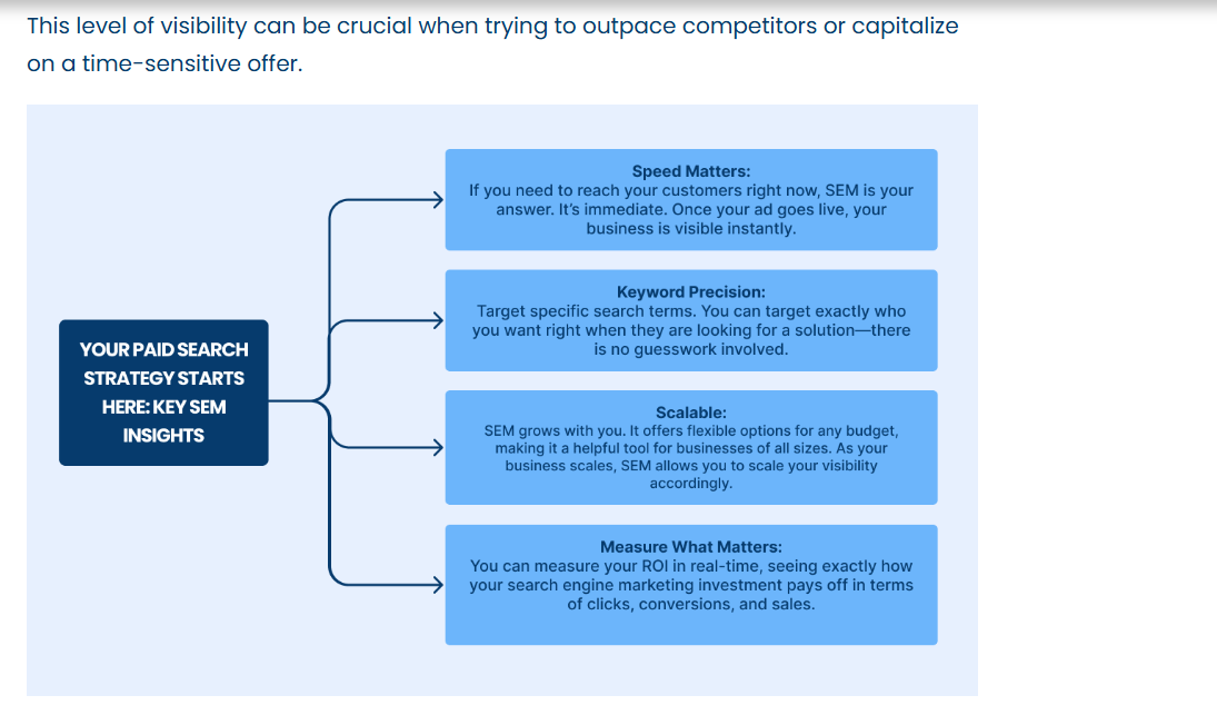 Paid Search Strategy