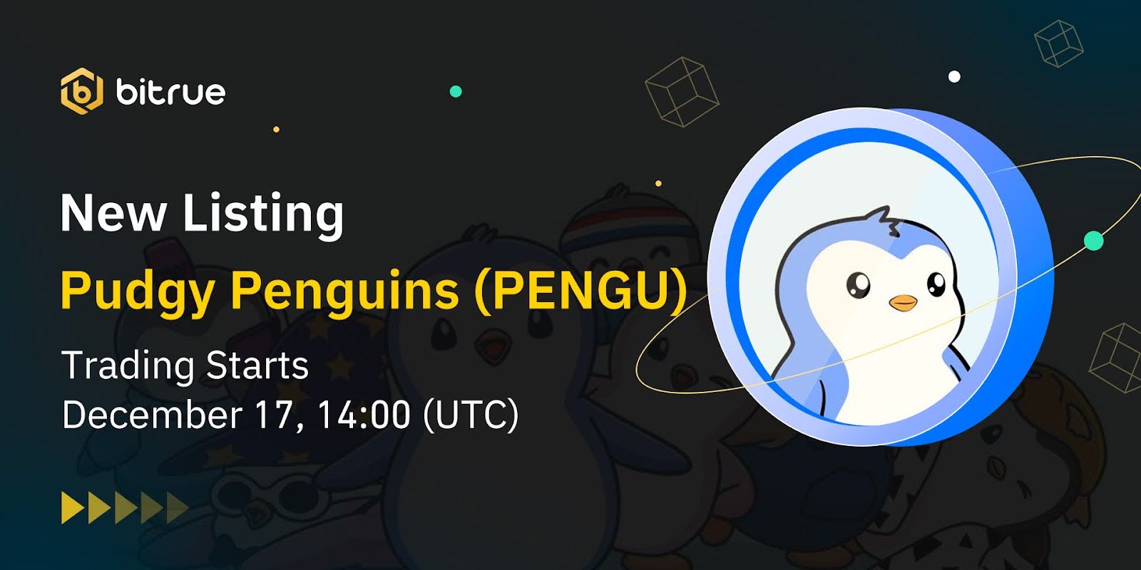 Listing PENGU.jpg