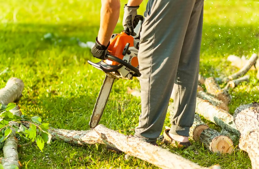 Environmental and Economic Benefits