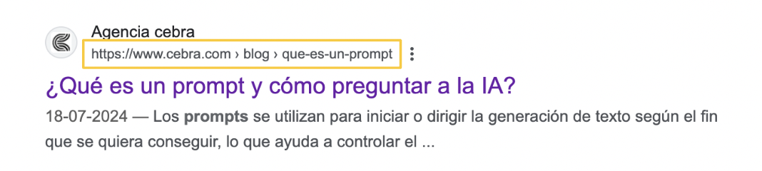 imagen descriptiva que destaca una url amigable de un sitio en motor de búsqueda