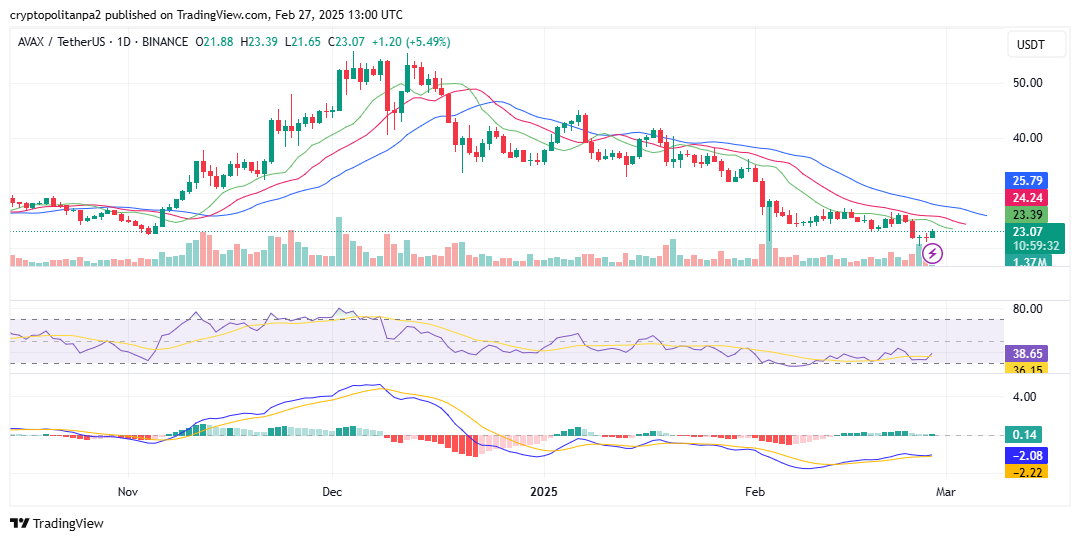 Grafico giornaliero AVAX/USD