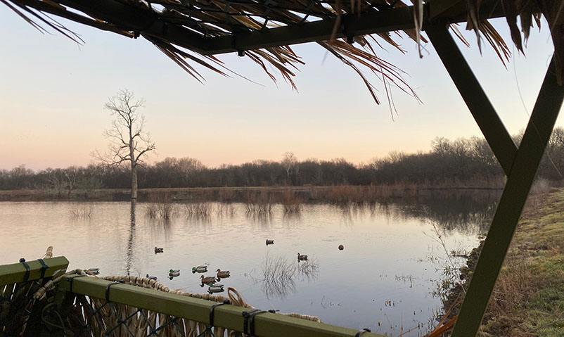 looking out at water from inside duck blind