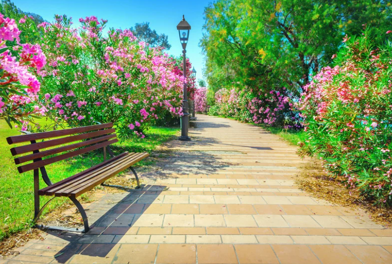 Parks in Glasgow in the West End