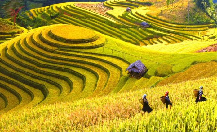 Có một mùa thu Hà Giang đẹp đến thế - Travel News 24h