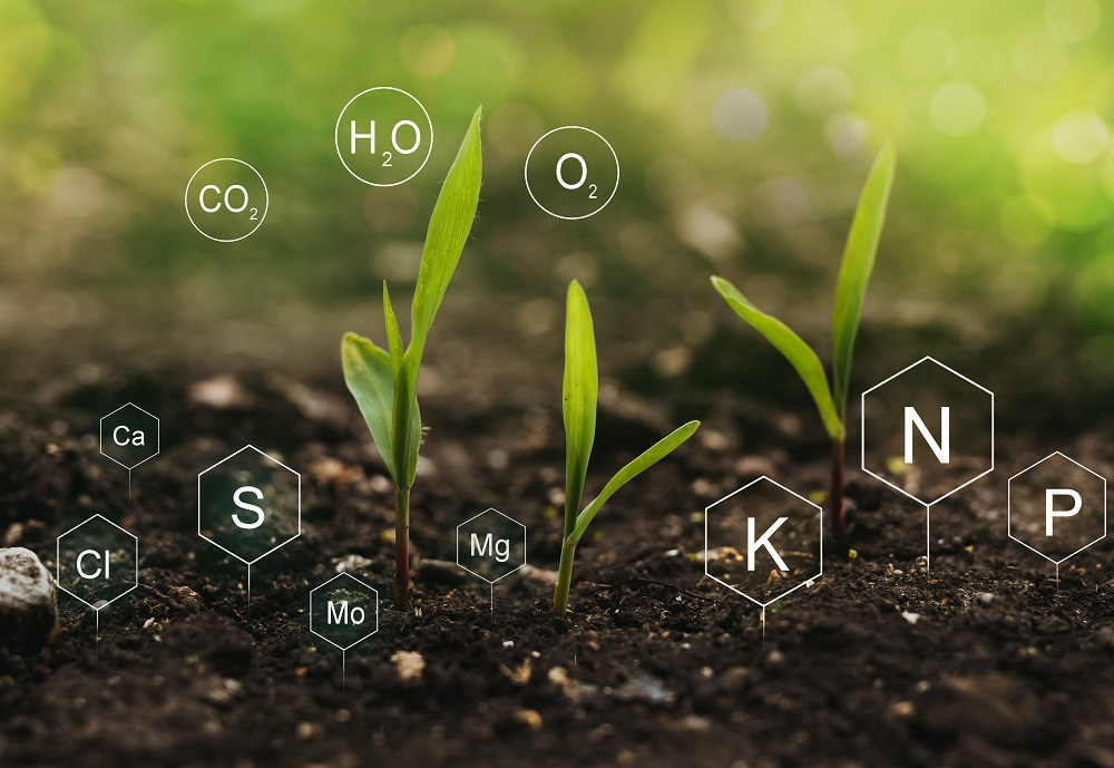 Soil Nutrients