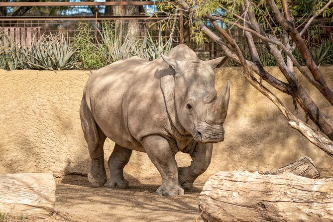 A winter fun place Phoenix Zoo in Arizona