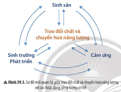 BÀI 39: CHỨNG MINH CƠ THỂ SINH VẬT LÀ MỘT THỂ THỐNG NHẤT