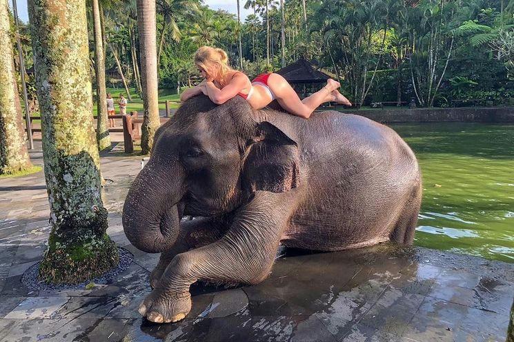 A person lying on top of an elephant

AI-generated content may be incorrect.
