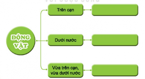 BÀI 17. ĐỘNG VẬT SỐNG Ở ĐÂU